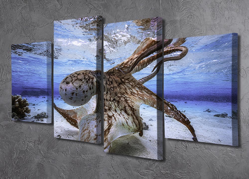 Dancing Octopus 4 Split Panel Canvas - Canvas Art Rocks - 2
