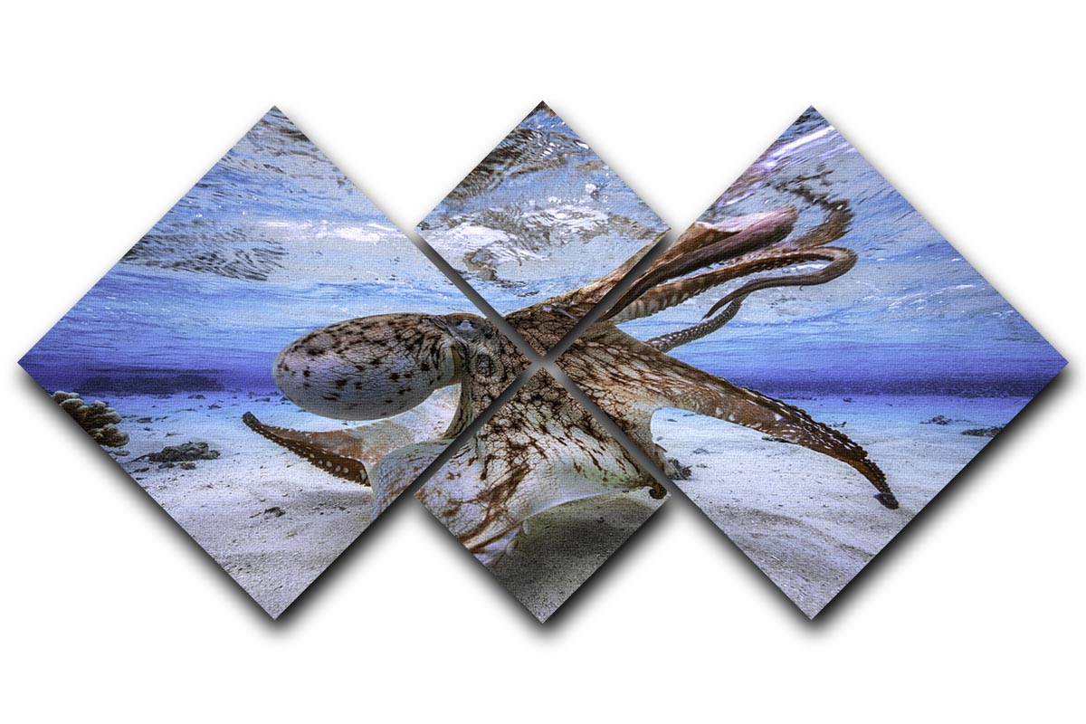 Dancing Octopus 4 Square Multi Panel Canvas - Canvas Art Rocks - 1