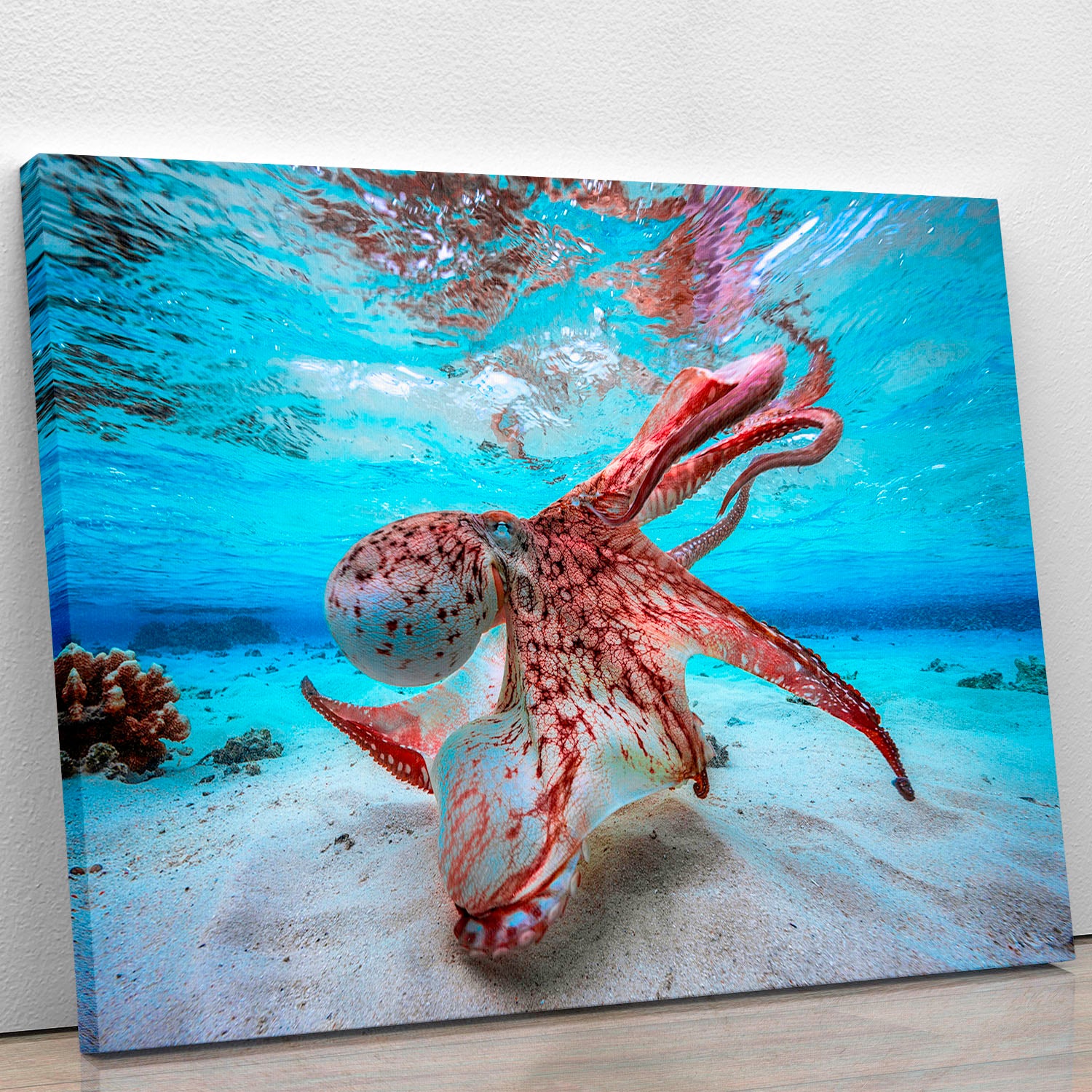 Dancing Octopus Canvas Print or Poster - Canvas Art Rocks - 1