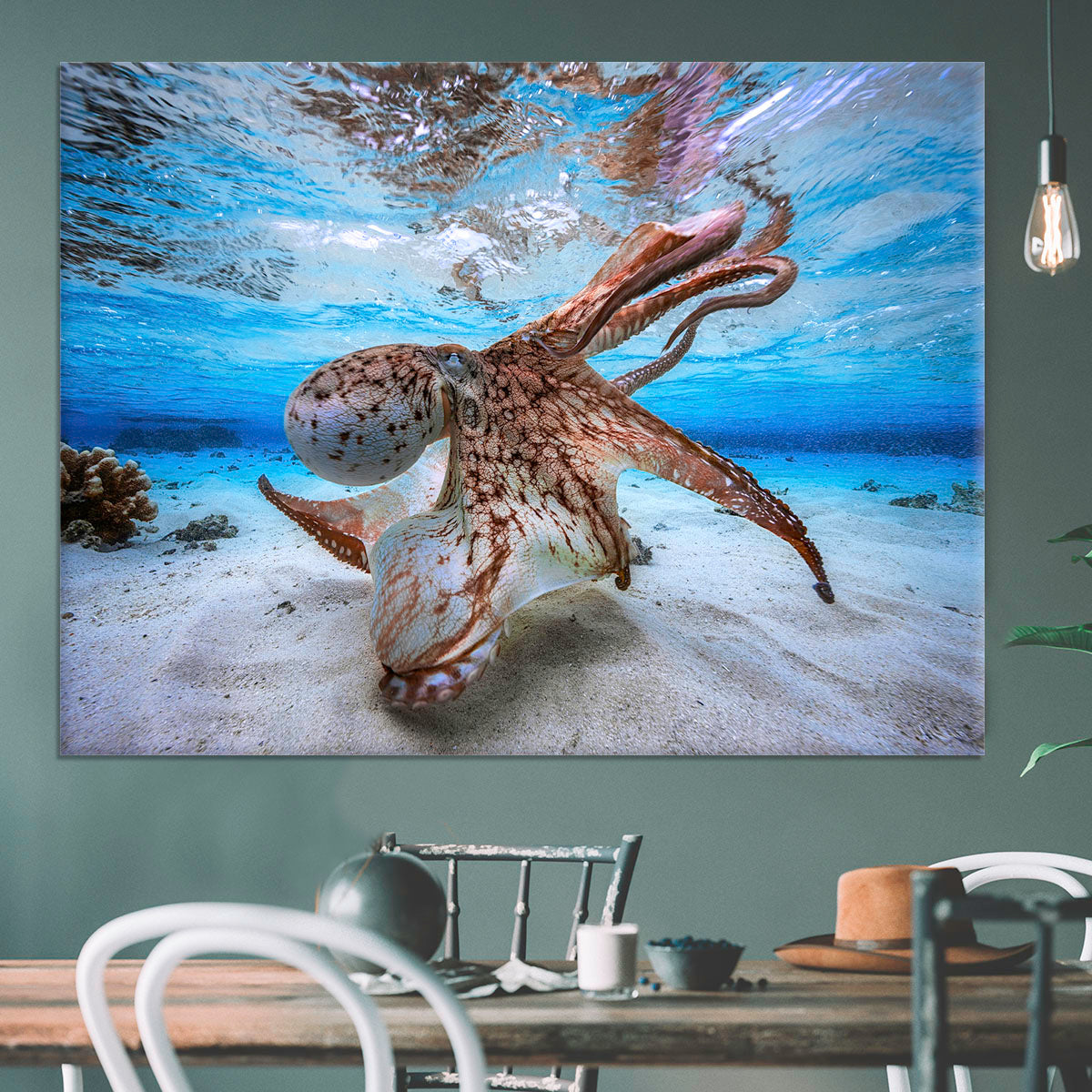 Dancing Octopus Canvas Print or Poster - Canvas Art Rocks - 3