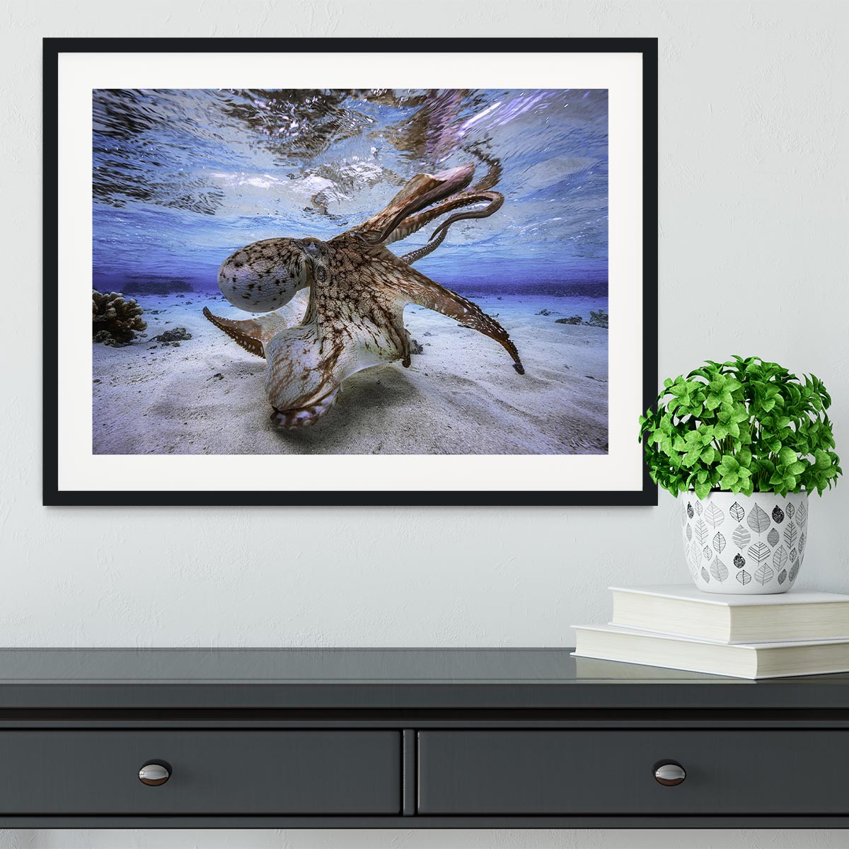 Dancing Octopus Framed Print - Canvas Art Rocks - 1