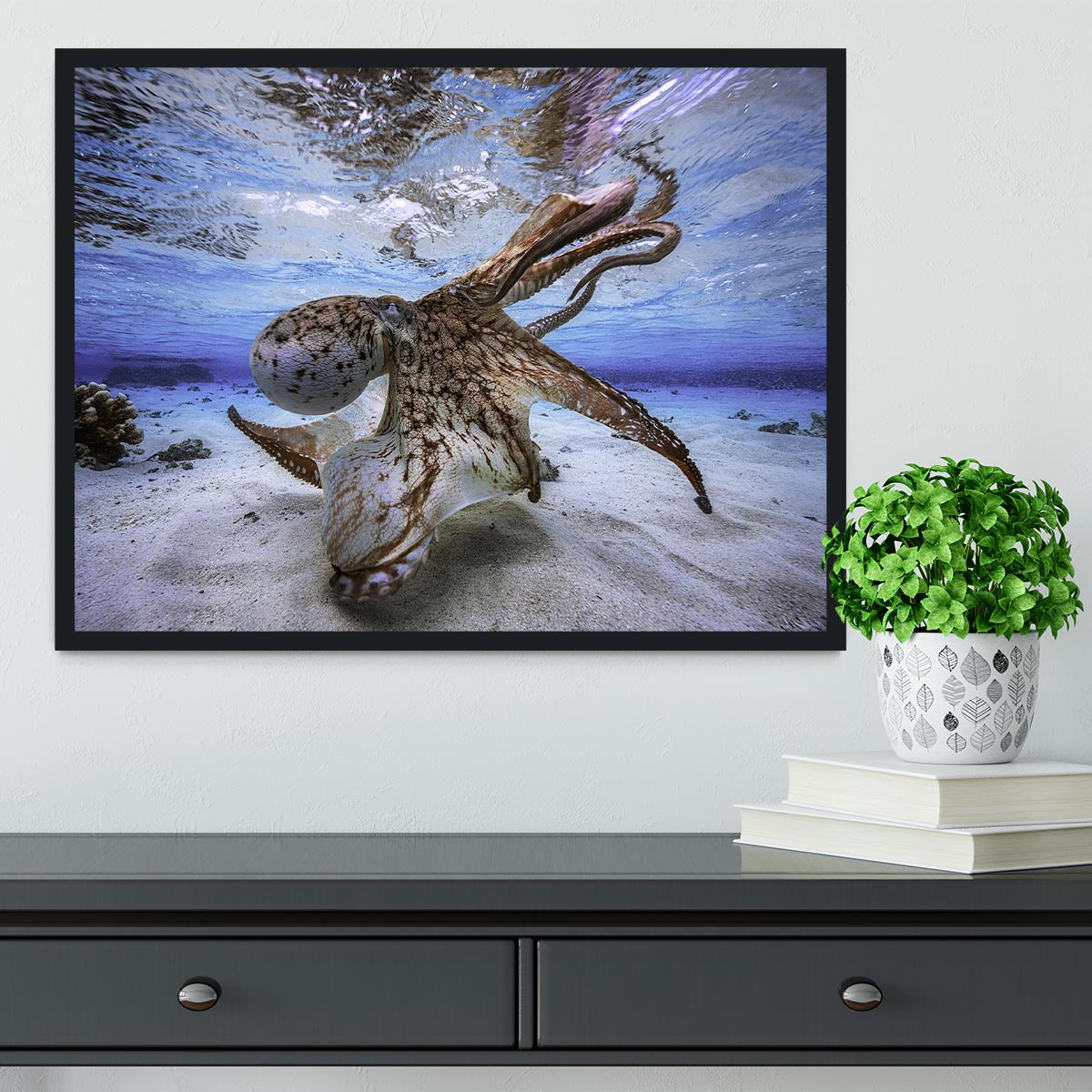 Dancing Octopus Framed Print - Canvas Art Rocks - 2