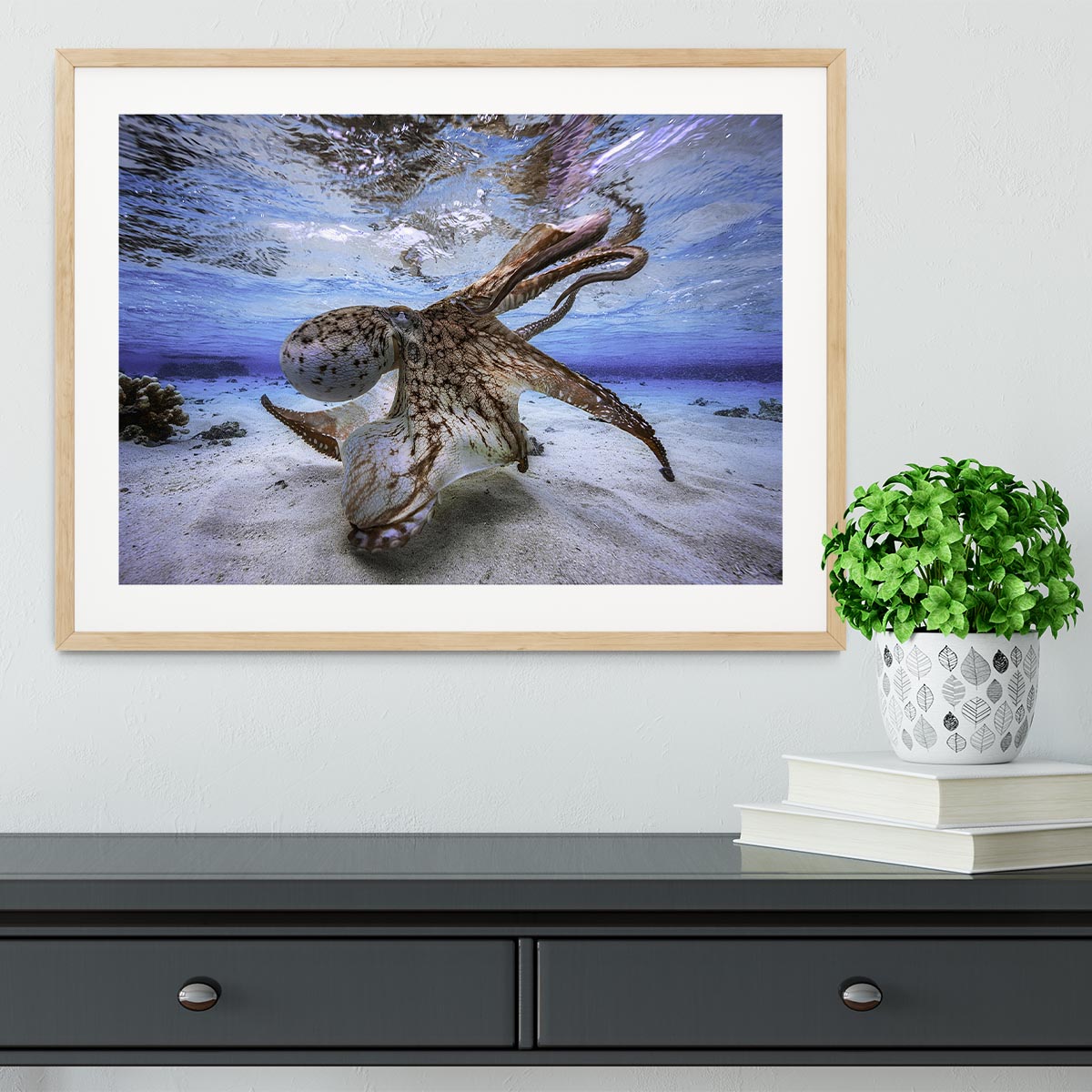 Dancing Octopus Framed Print - Canvas Art Rocks - 3
