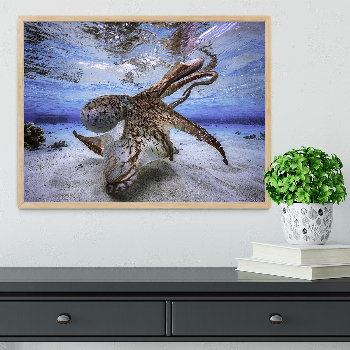 Dancing Octopus Framed Print - Canvas Art Rocks - 4