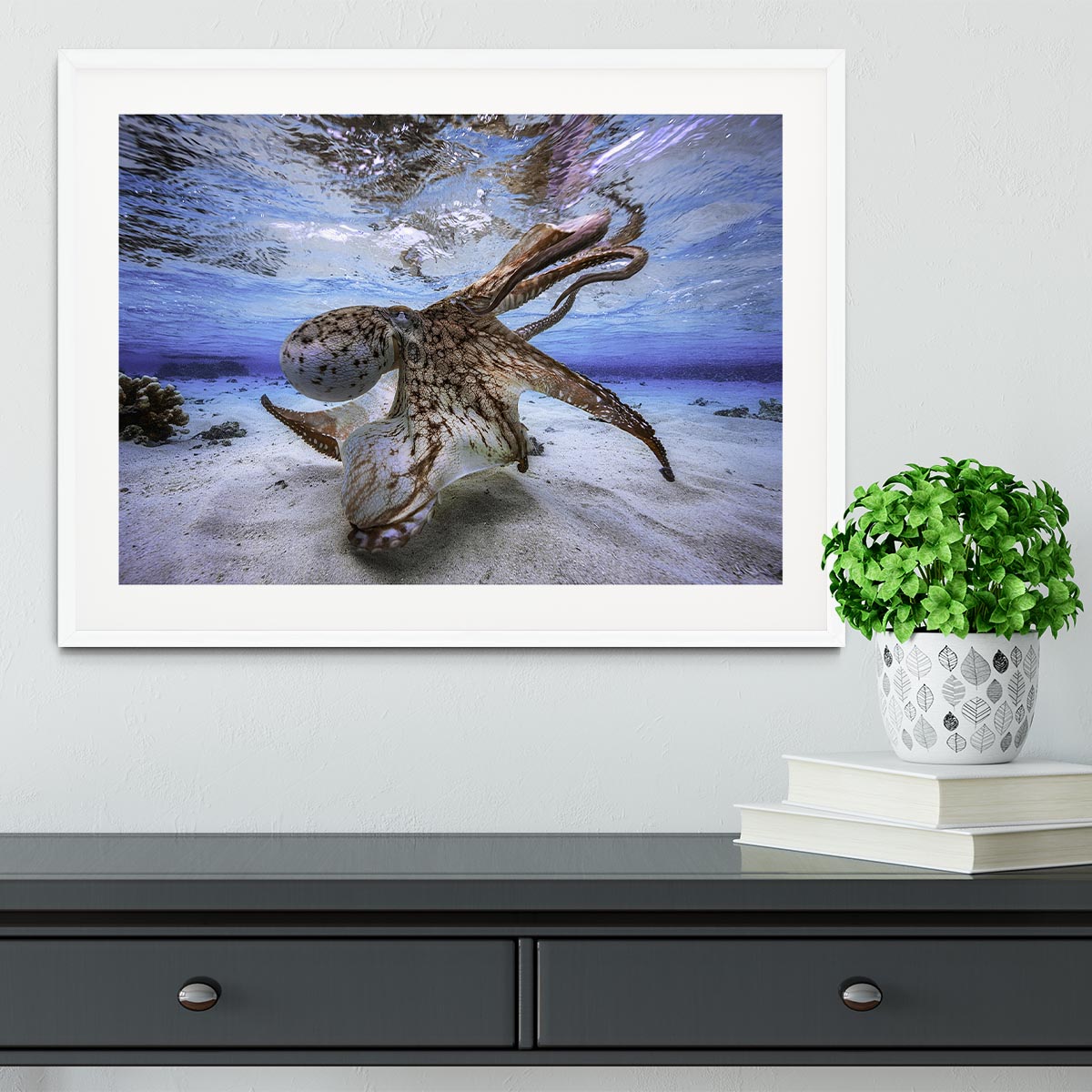 Dancing Octopus Framed Print - Canvas Art Rocks - 5