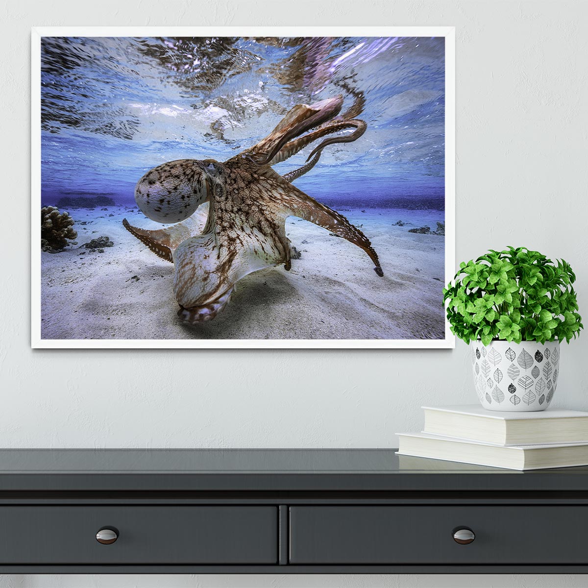 Dancing Octopus Framed Print - Canvas Art Rocks -6
