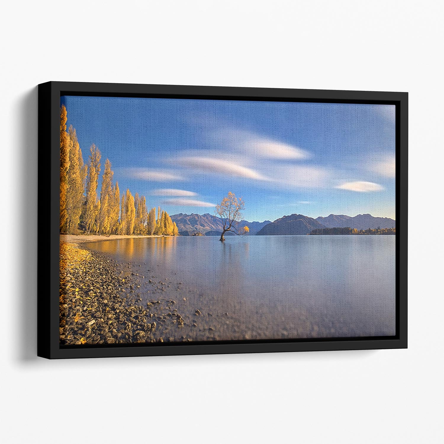 Autumn In Lake Wanaka Floating Framed Canvas - Canvas Art Rocks - 1