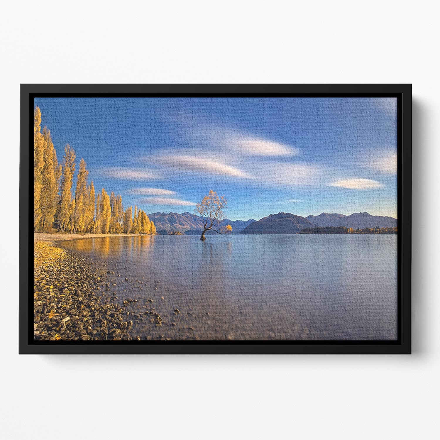 Autumn In Lake Wanaka Floating Framed Canvas - Canvas Art Rocks - 2