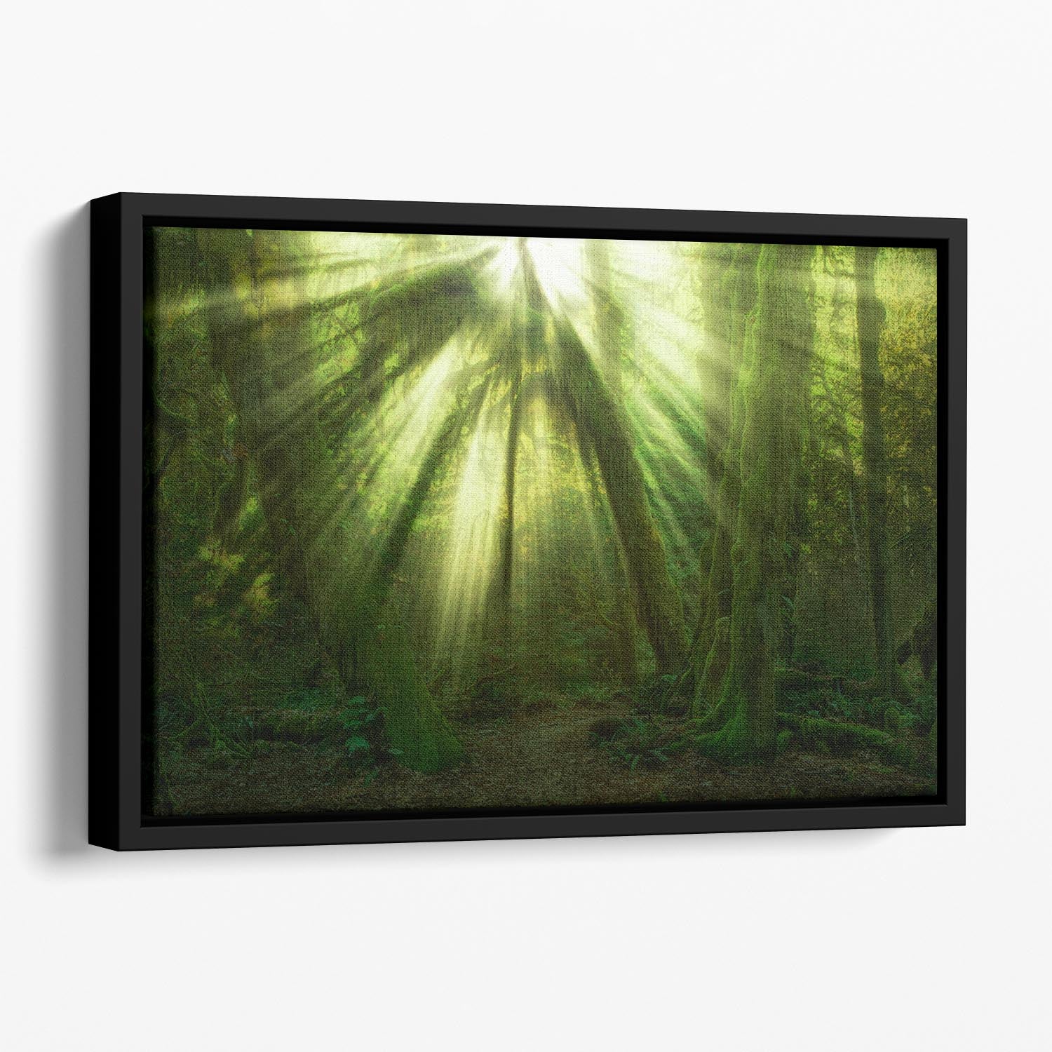 The Miracle Floating Framed Canvas - Canvas Art Rocks - 1