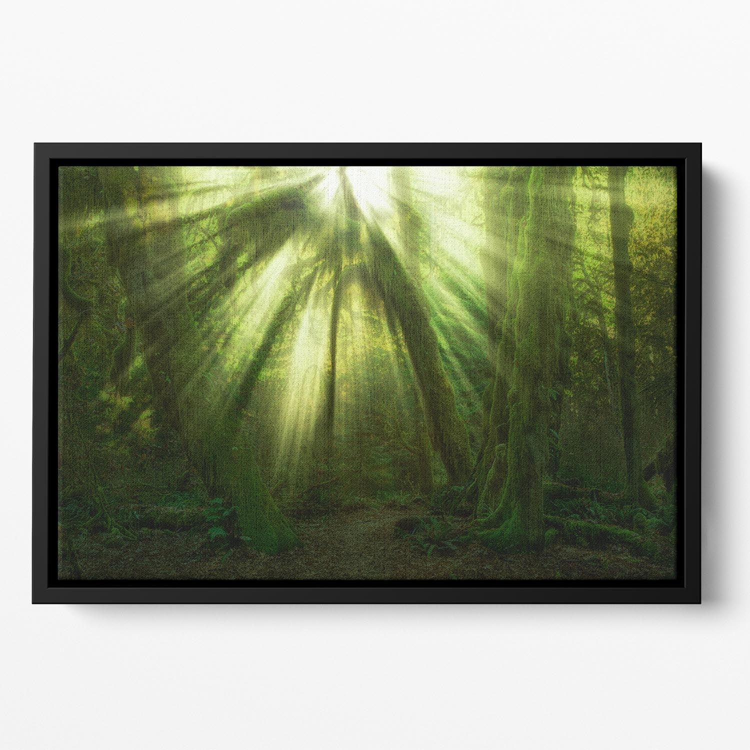 The Miracle Floating Framed Canvas - Canvas Art Rocks - 2