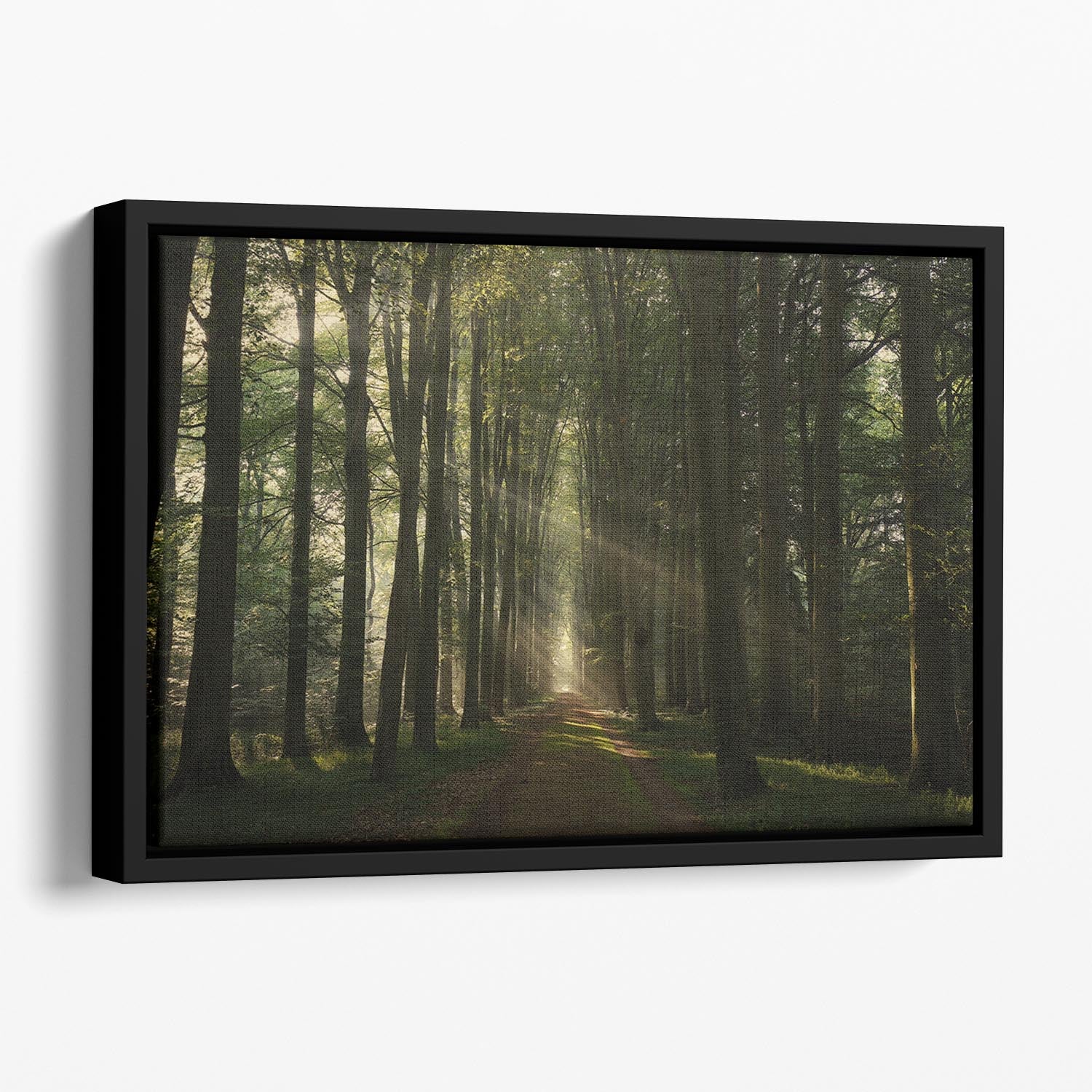 The Essential Floating Framed Canvas - Canvas Art Rocks - 1