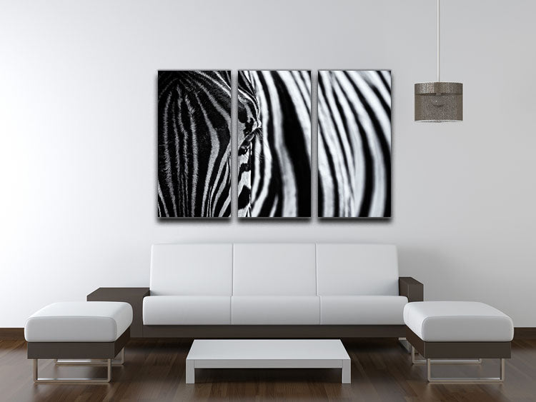 Zebra Close Up 3 Split Panel Canvas Print - Canvas Art Rocks - 3