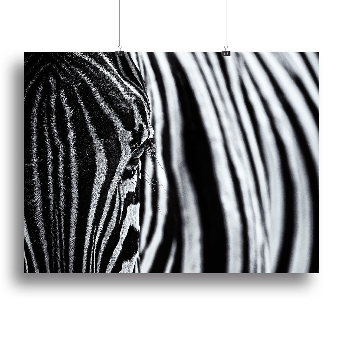 Zebra Close Up Canvas Print or Poster - Canvas Art Rocks - 2