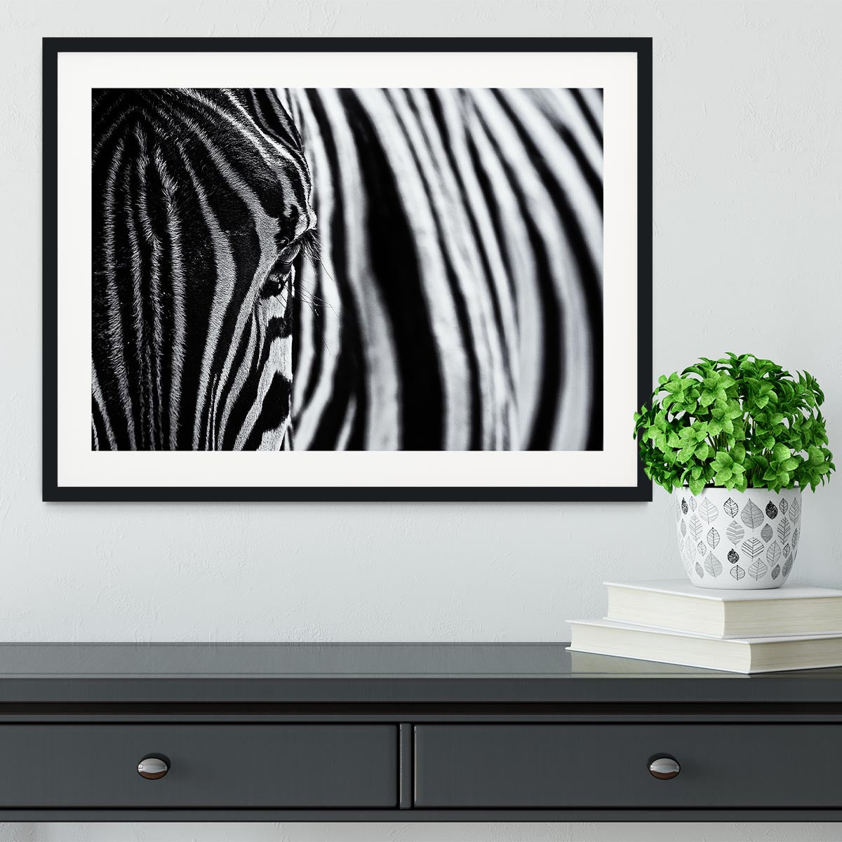 Zebra Close Up Framed Print - Canvas Art Rocks - 1