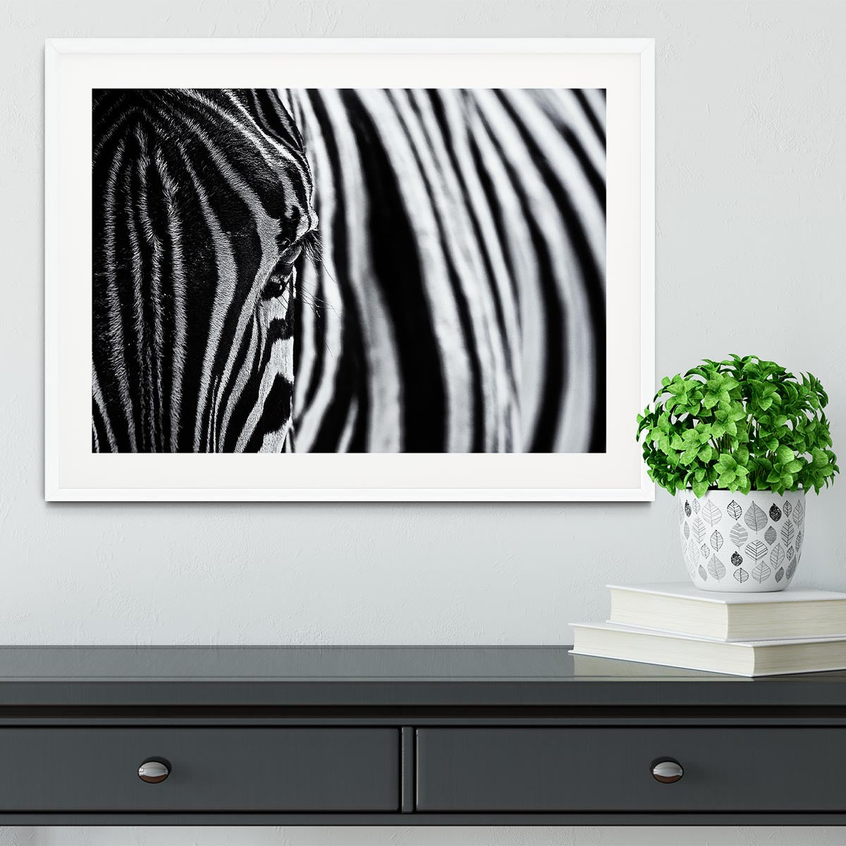 Zebra Close Up Framed Print - Canvas Art Rocks - 5