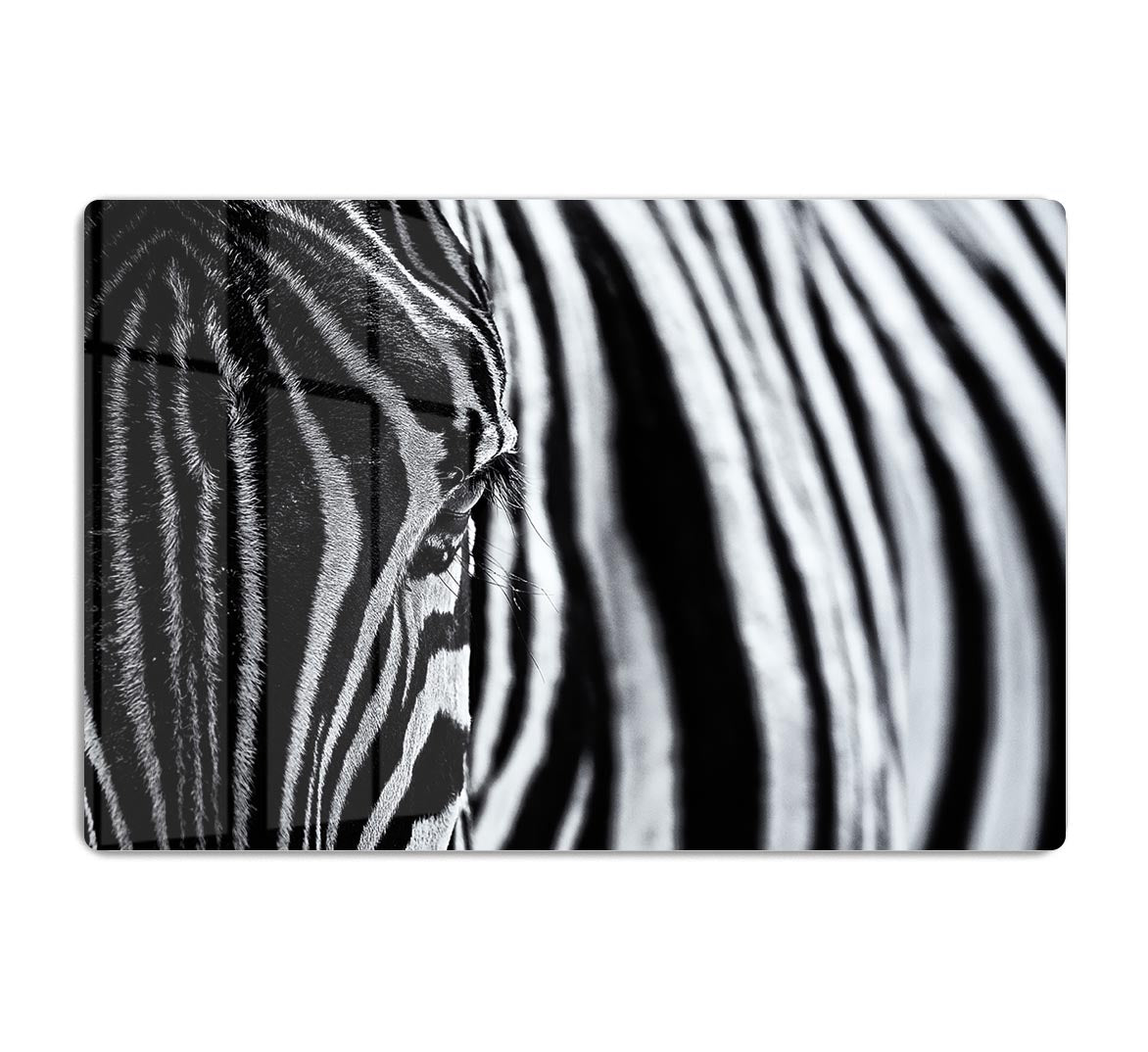 Zebra Close Up HD Metal Print - Canvas Art Rocks - 1