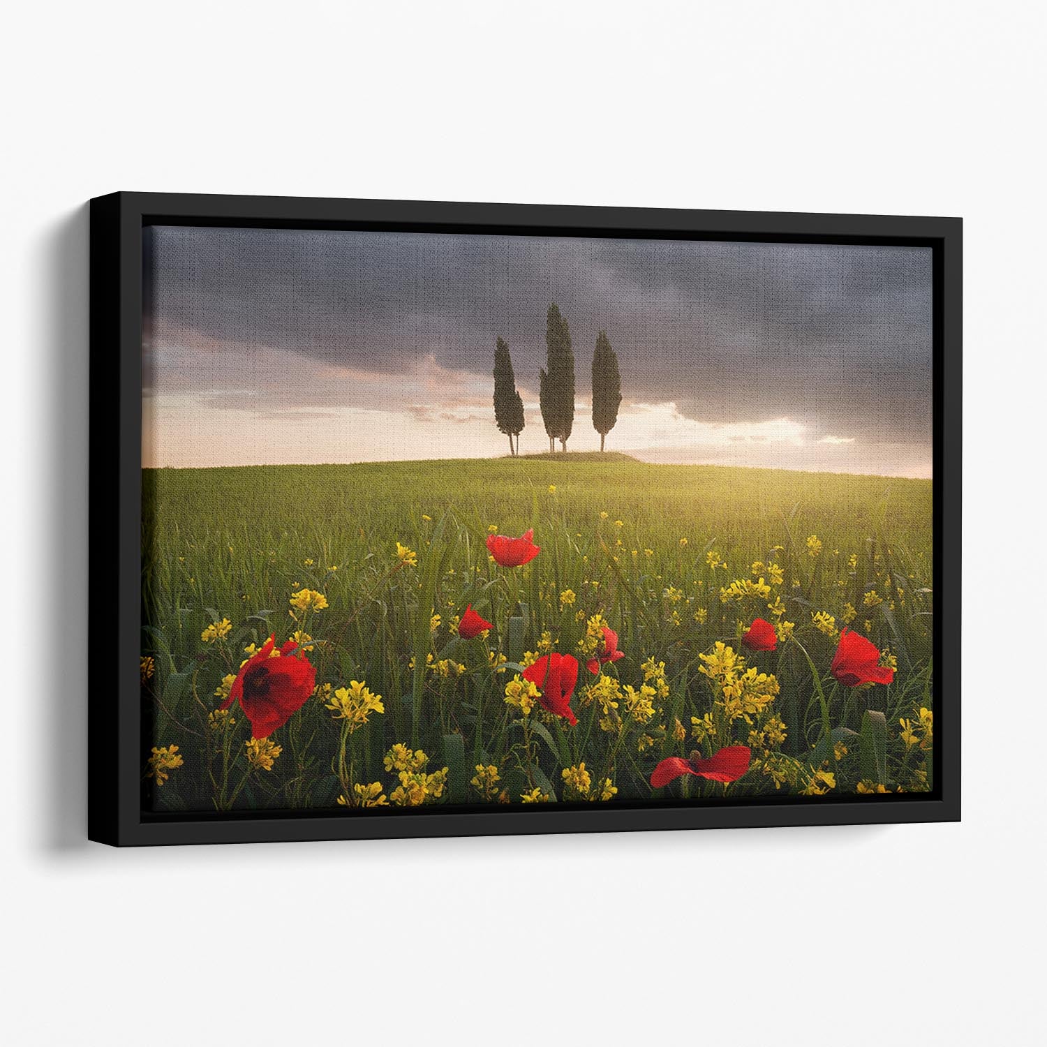 Blooming Tuscany Floating Framed Canvas - Canvas Art Rocks - 1