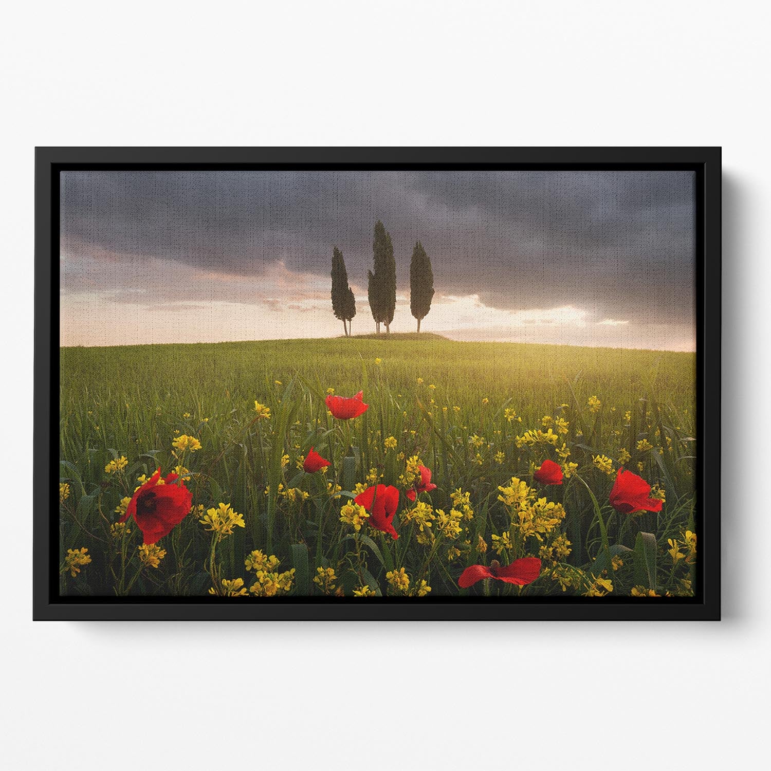 Blooming Tuscany Floating Framed Canvas - Canvas Art Rocks - 2