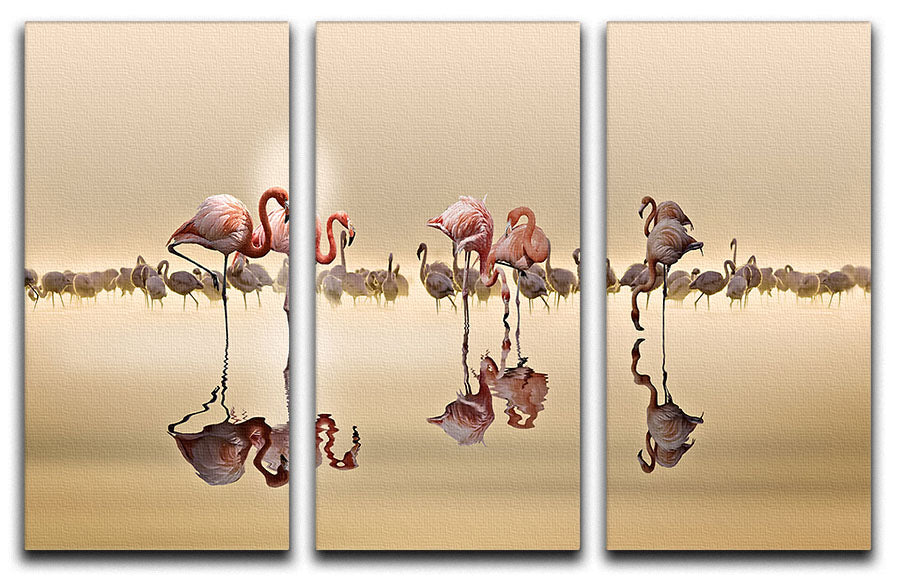 Flamingos In The Sun 3 Split Panel Canvas Print - Canvas Art Rocks - 1