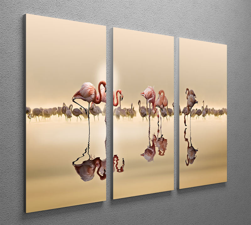 Flamingos In The Sun 3 Split Panel Canvas Print - Canvas Art Rocks - 2