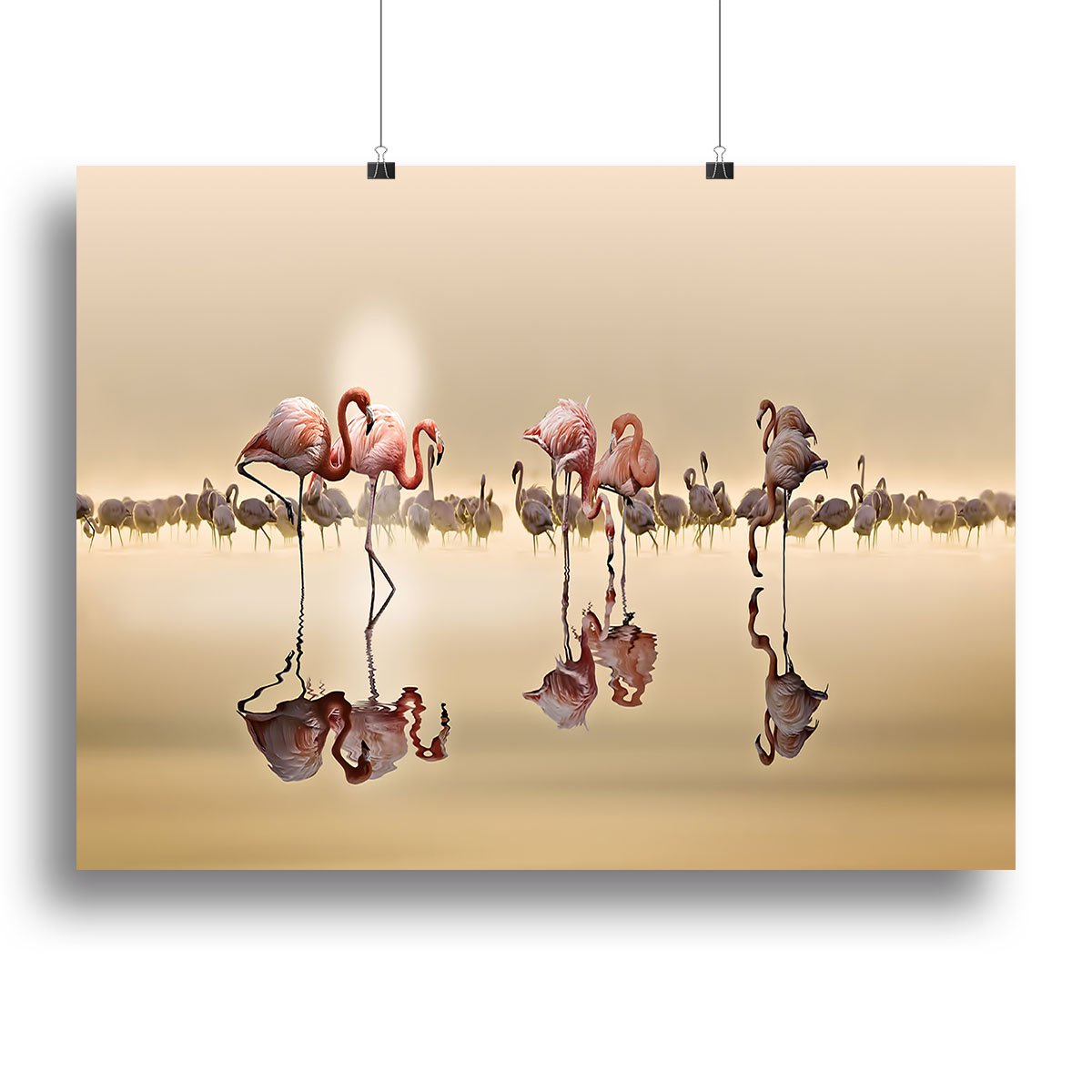 Flamingos In The Sun Canvas Print or Poster - Canvas Art Rocks - 2
