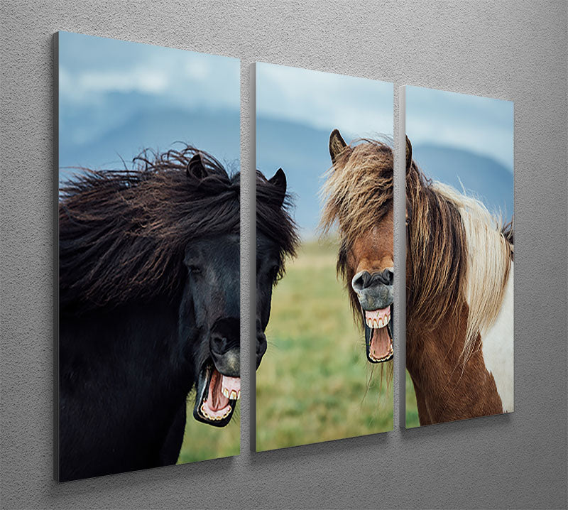 Smiling Horses 3 Split Panel Canvas Print - Canvas Art Rocks - 2