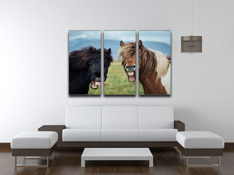 Smiling Horses 3 Split Panel Canvas Print - Canvas Art Rocks - 3