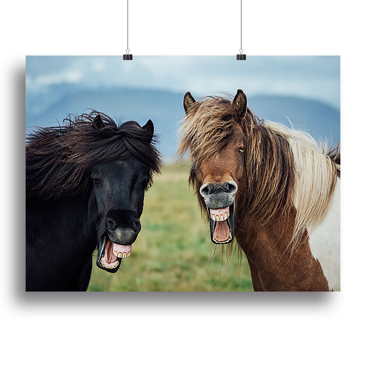 Smiling Horses Canvas Print or Poster - Canvas Art Rocks - 2