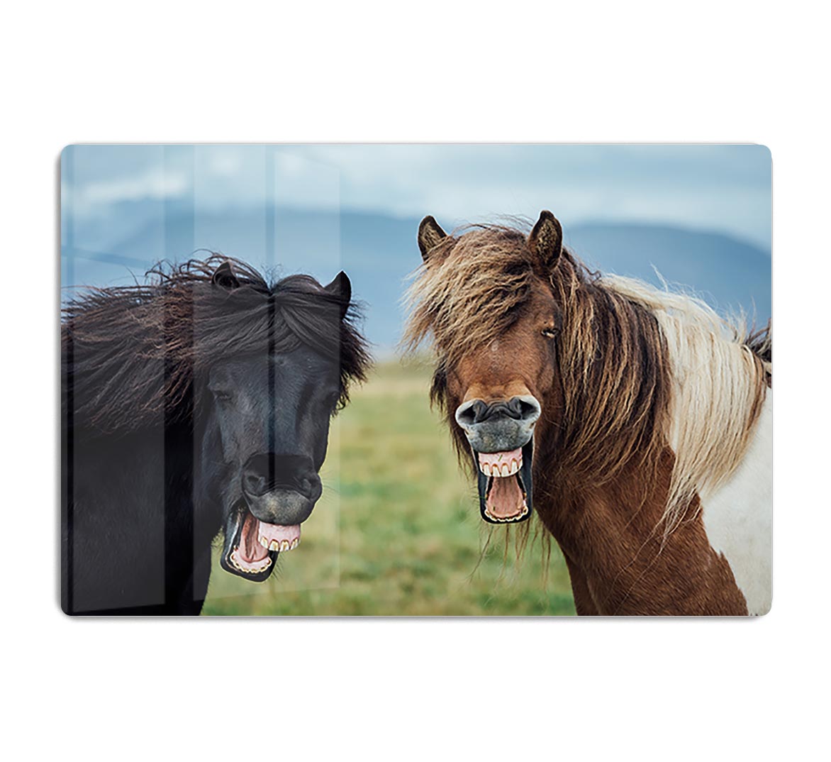 Smiling Horses HD Metal Print - Canvas Art Rocks - 1