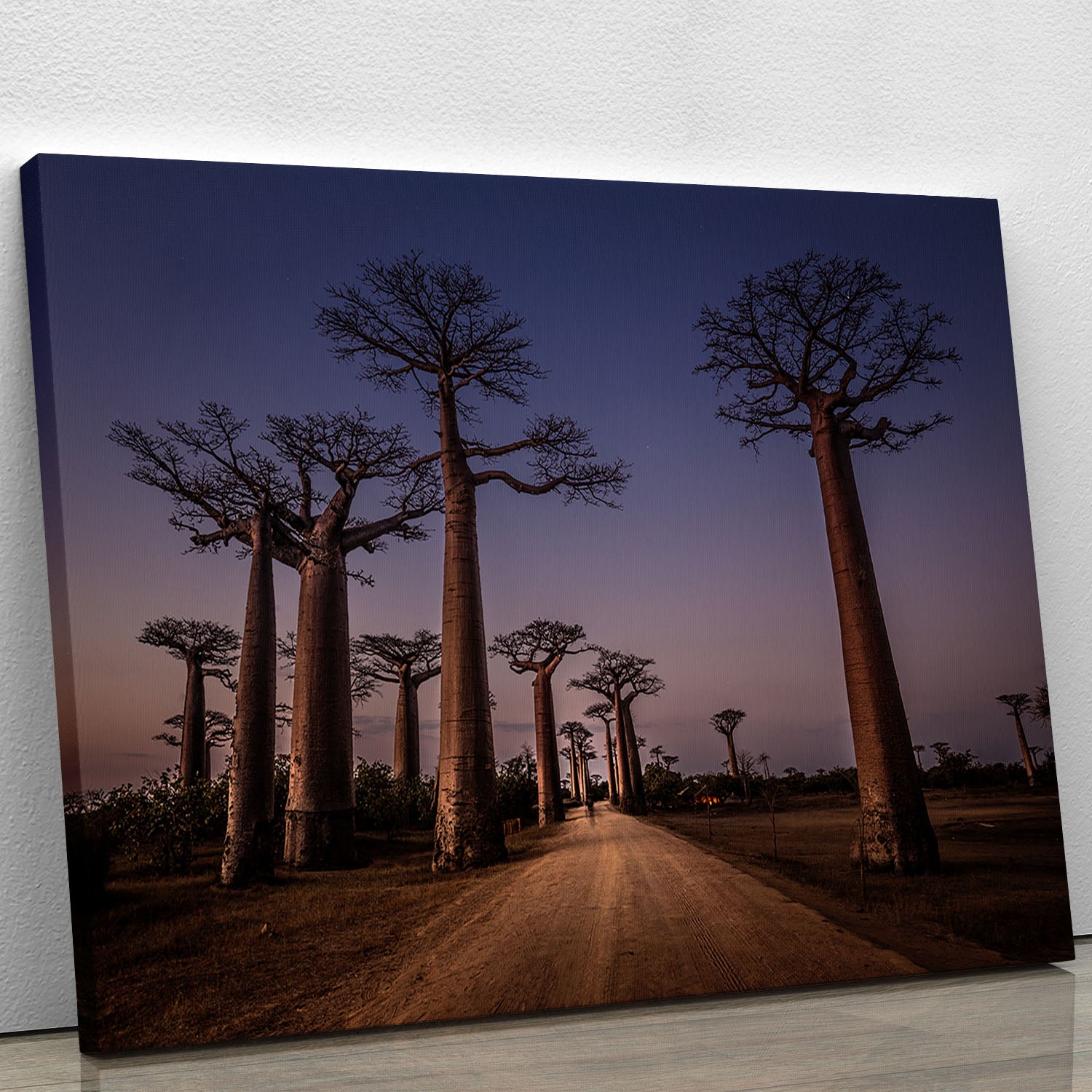 Allace Des Baobabs Canvas Print or Poster - Canvas Art Rocks - 1