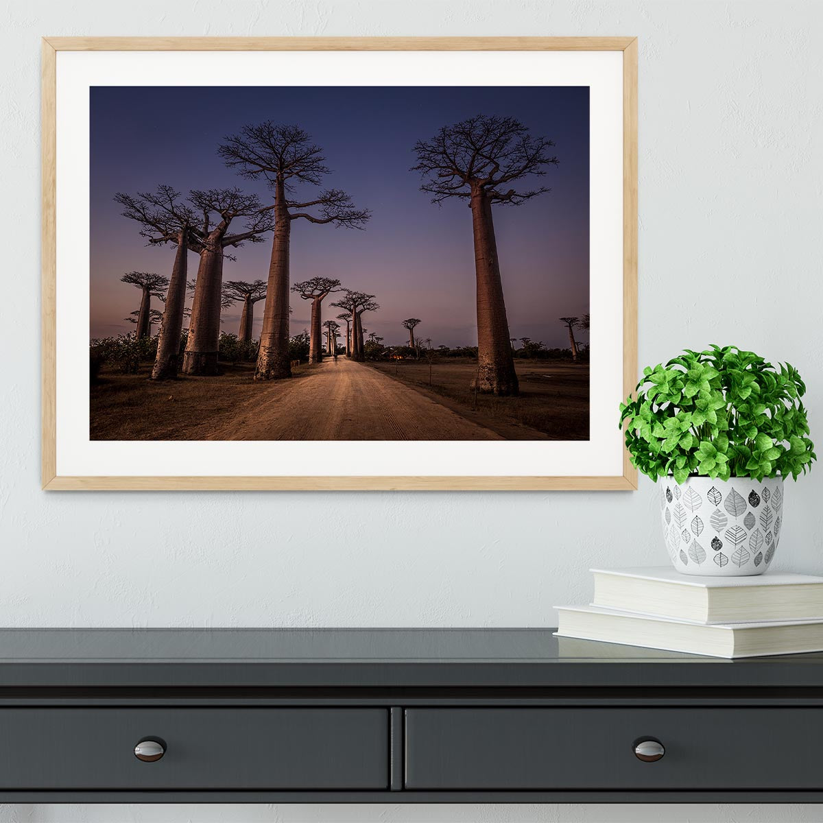 Allace Des Baobabs Framed Print - Canvas Art Rocks - 3