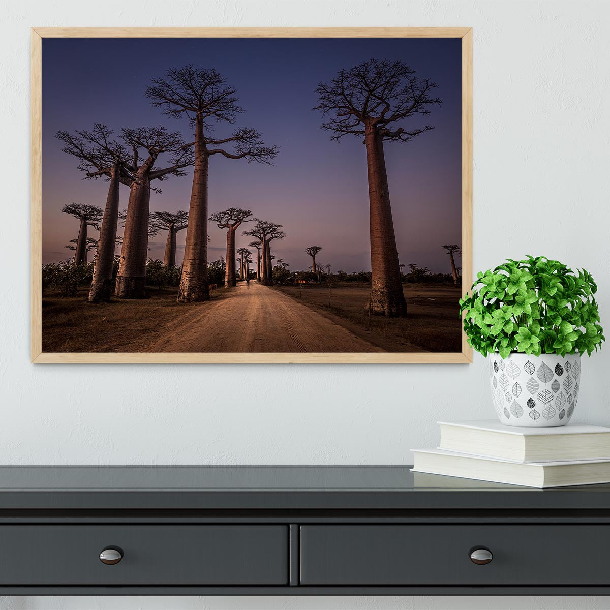 Allace Des Baobabs Framed Print - Canvas Art Rocks - 4