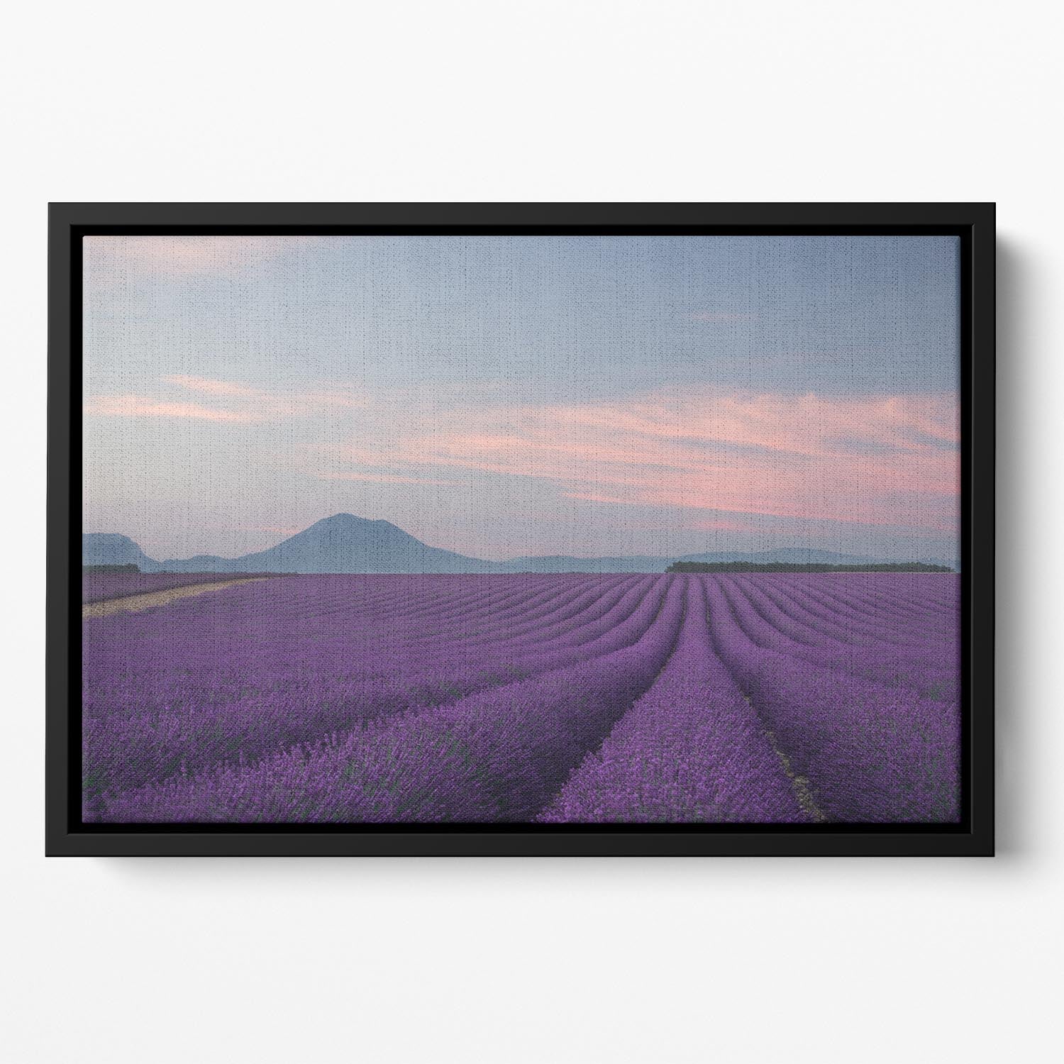 Lavender Field Floating Framed Canvas - Canvas Art Rocks - 2