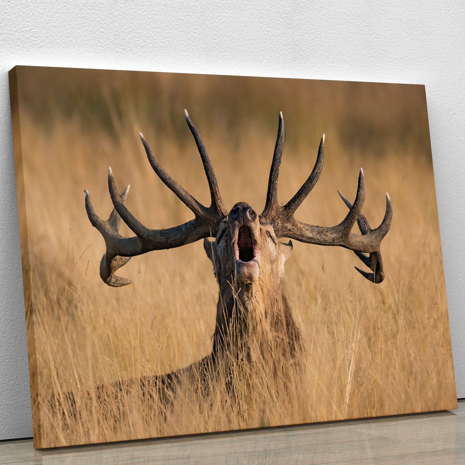 Antler Ready to Rut Canvas Print or Poster - Canvas Art Rocks - 1