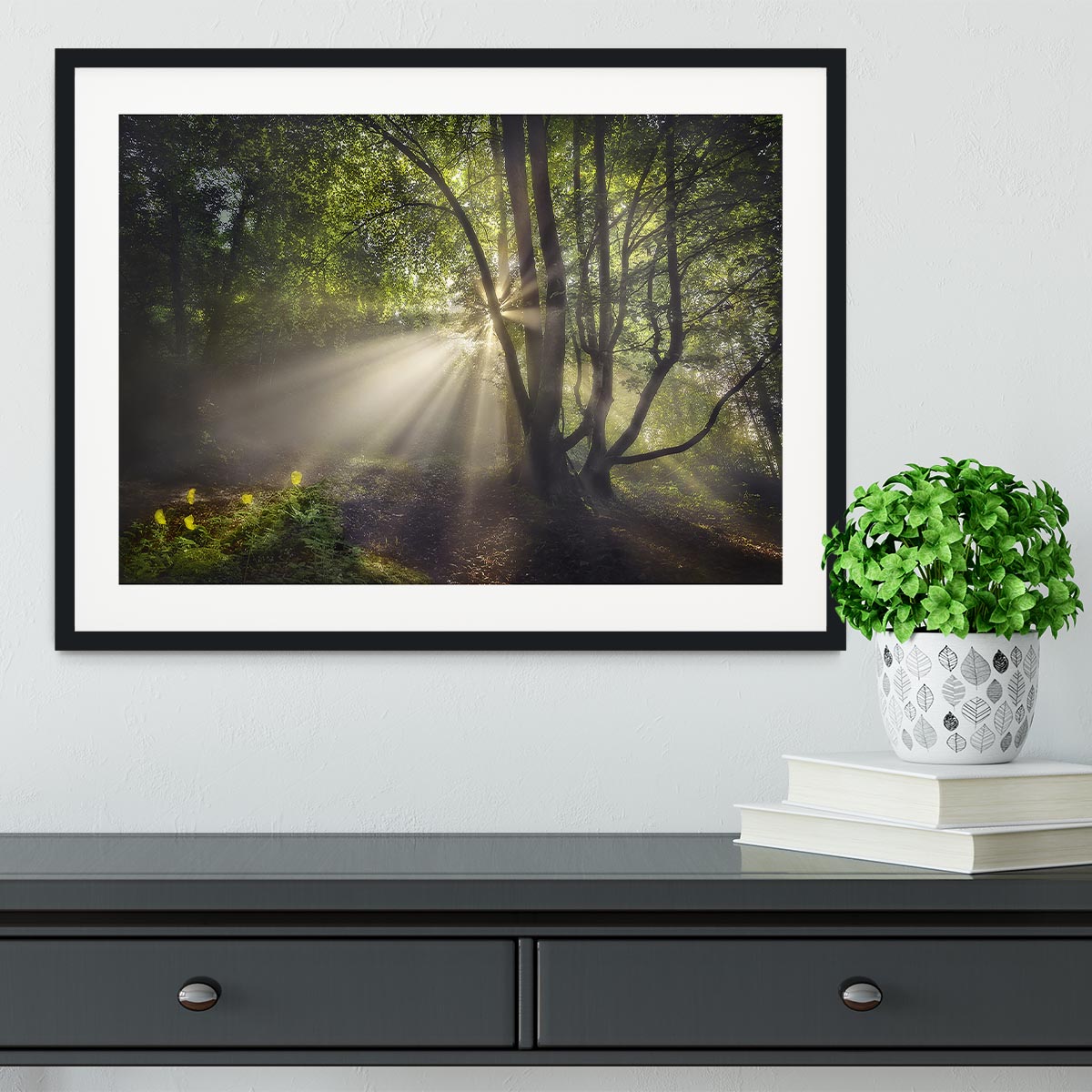 The Morning Light Framed Print - Canvas Art Rocks - 1