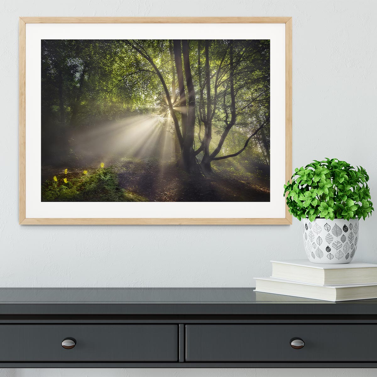 The Morning Light Framed Print - Canvas Art Rocks - 3