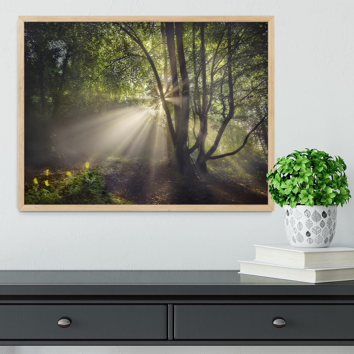 The Morning Light Framed Print - Canvas Art Rocks - 4