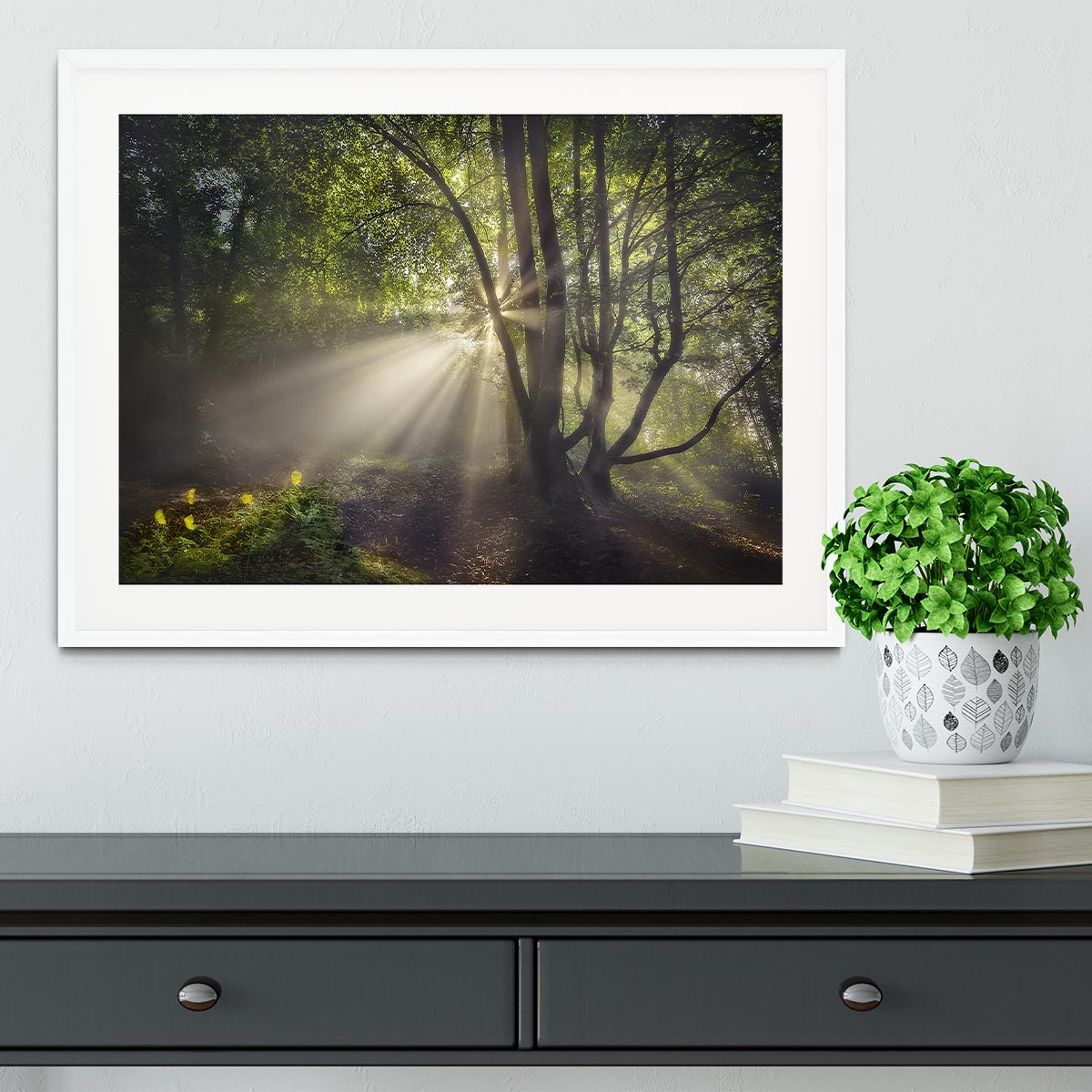 The Morning Light Framed Print - Canvas Art Rocks - 5