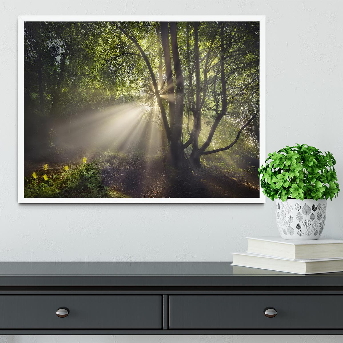 The Morning Light Framed Print - Canvas Art Rocks -6