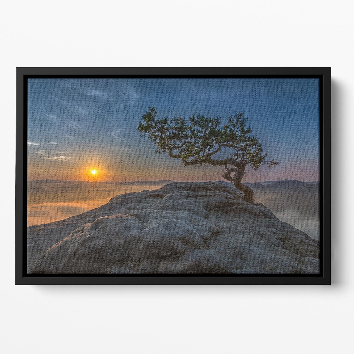 Old Pine Floating Framed Canvas - Canvas Art Rocks - 2