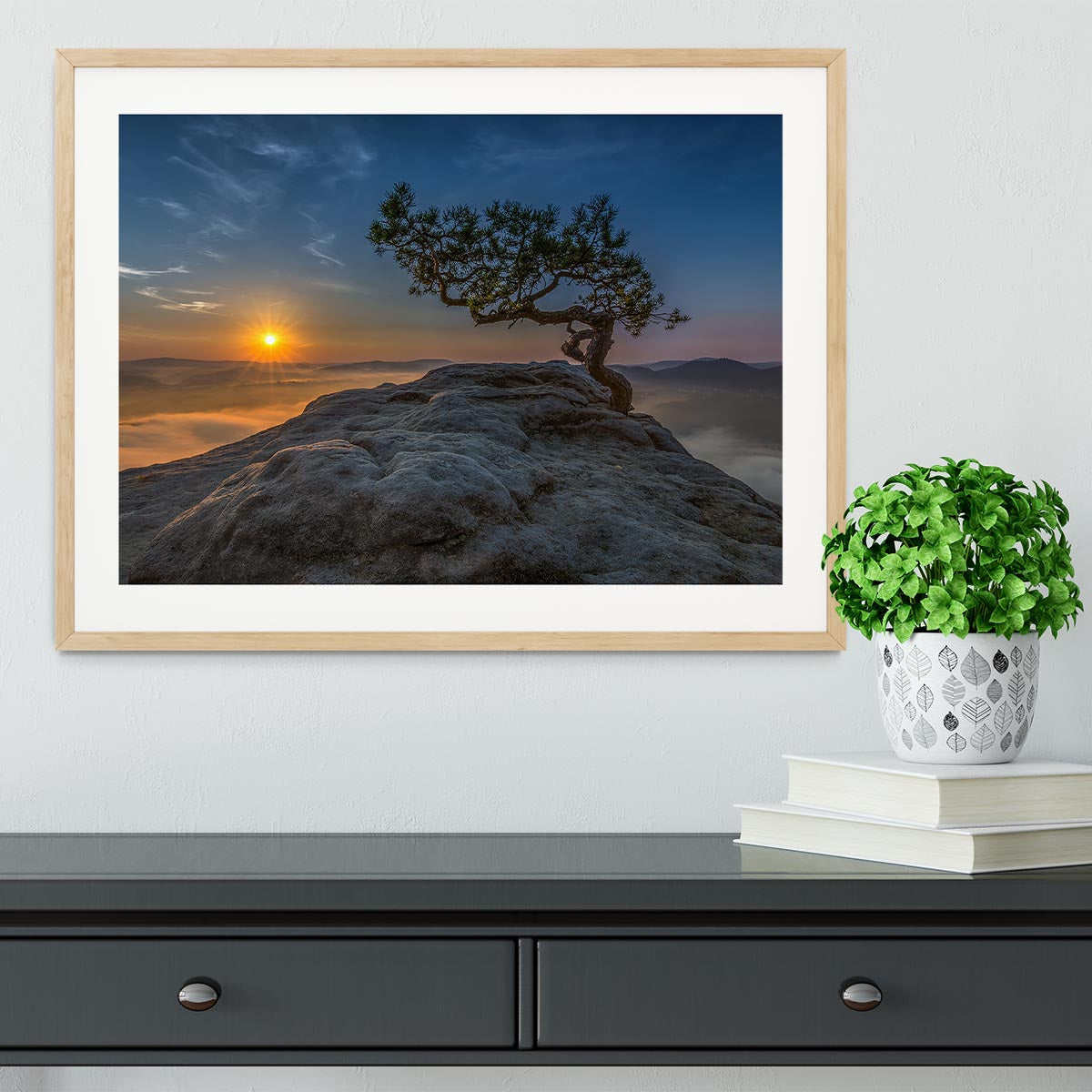 Old Pine Framed Print - Canvas Art Rocks - 3