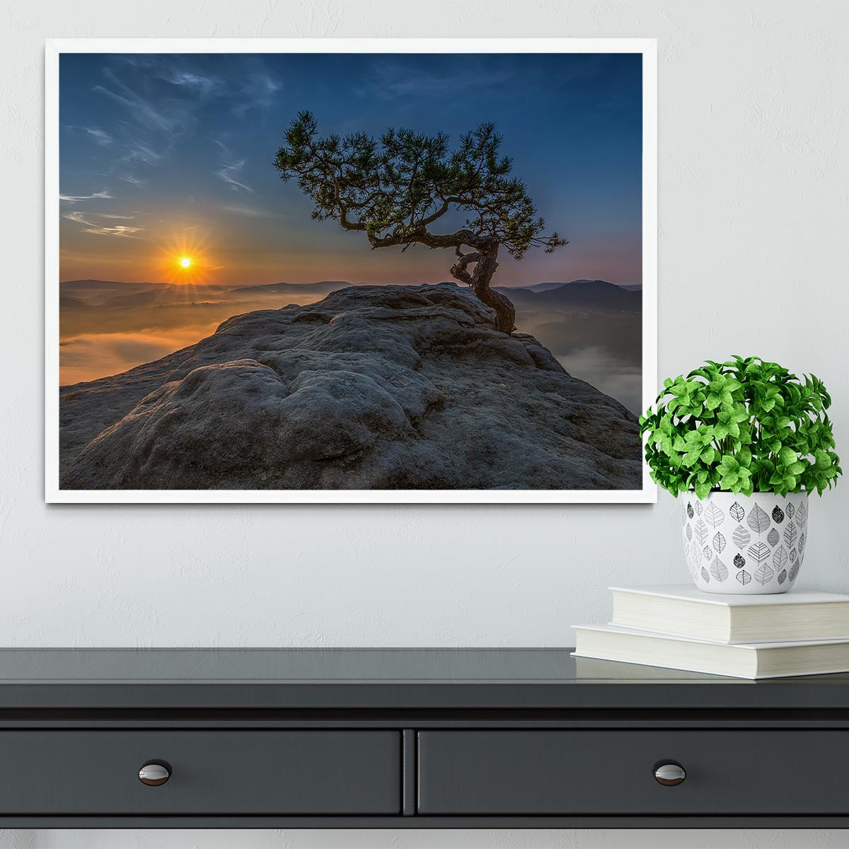 Old Pine Framed Print - Canvas Art Rocks -6