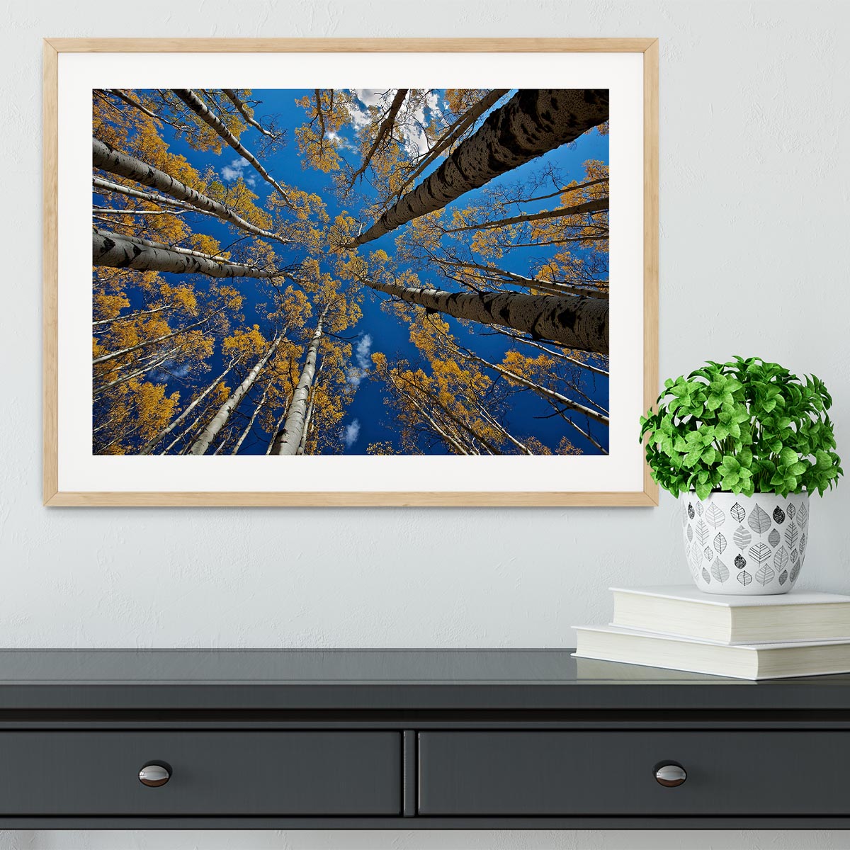 Aspen's Fall Framed Print - Canvas Art Rocks - 3