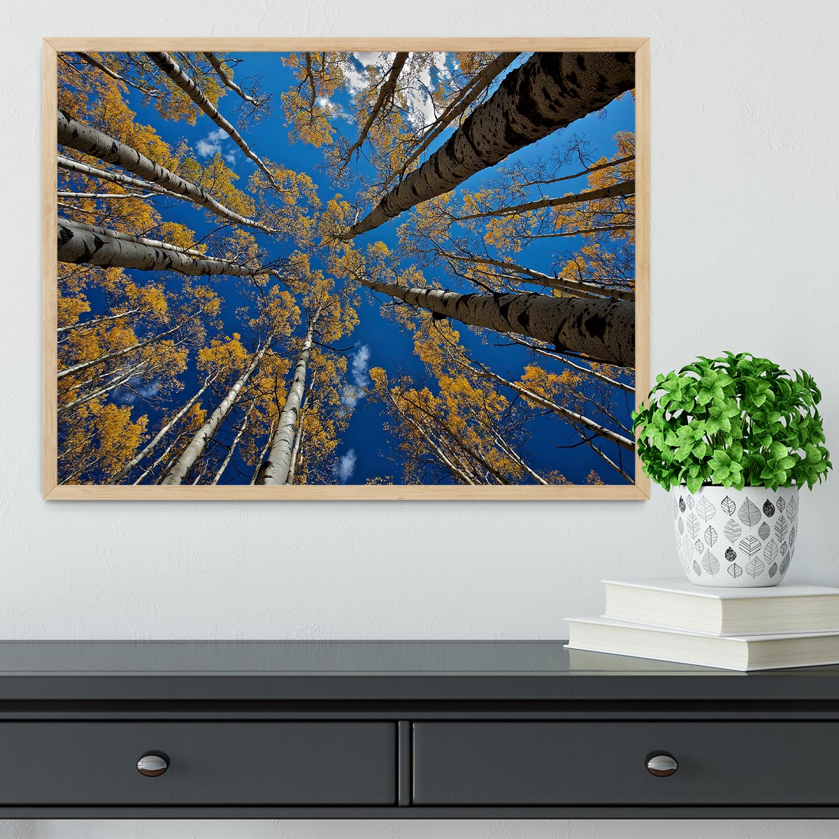 Aspen's Fall Framed Print - Canvas Art Rocks - 4