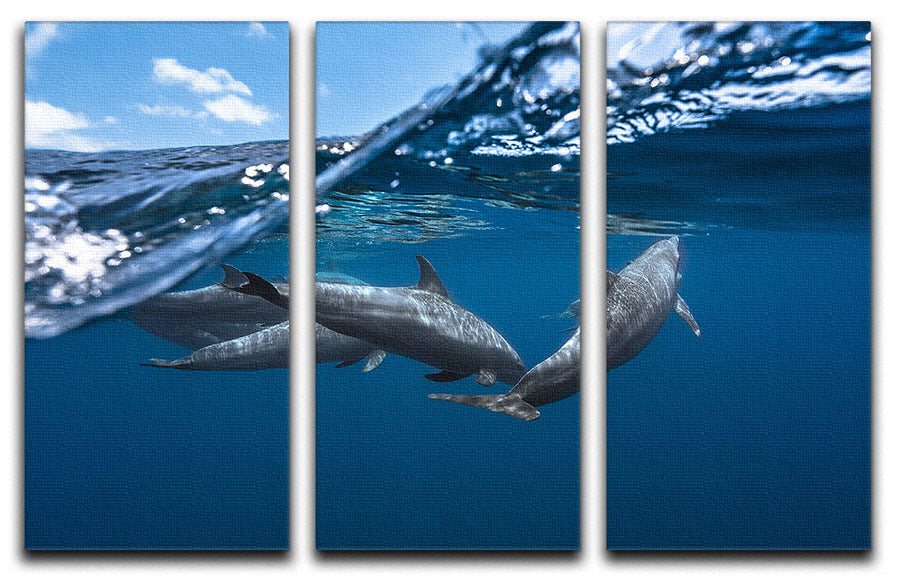 Dolphins 3 Split Panel Canvas Print - Canvas Art Rocks - 1