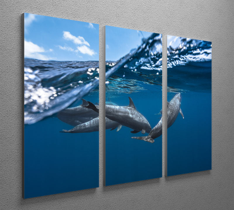 Dolphins 3 Split Panel Canvas Print - Canvas Art Rocks - 2