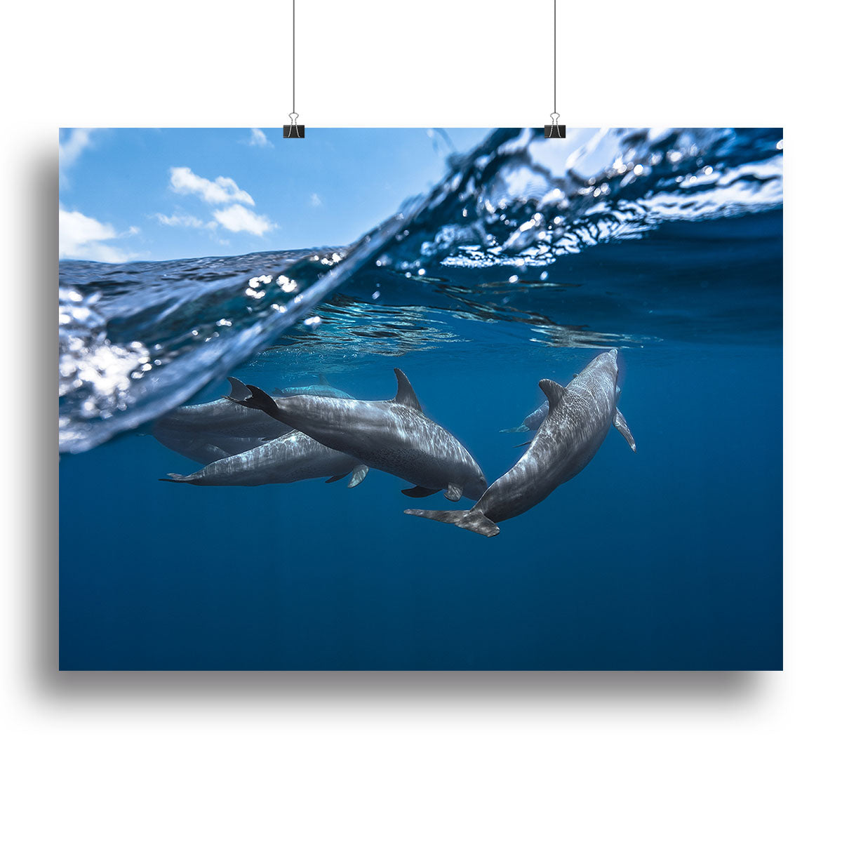Dolphins Canvas Print or Poster - Canvas Art Rocks - 2
