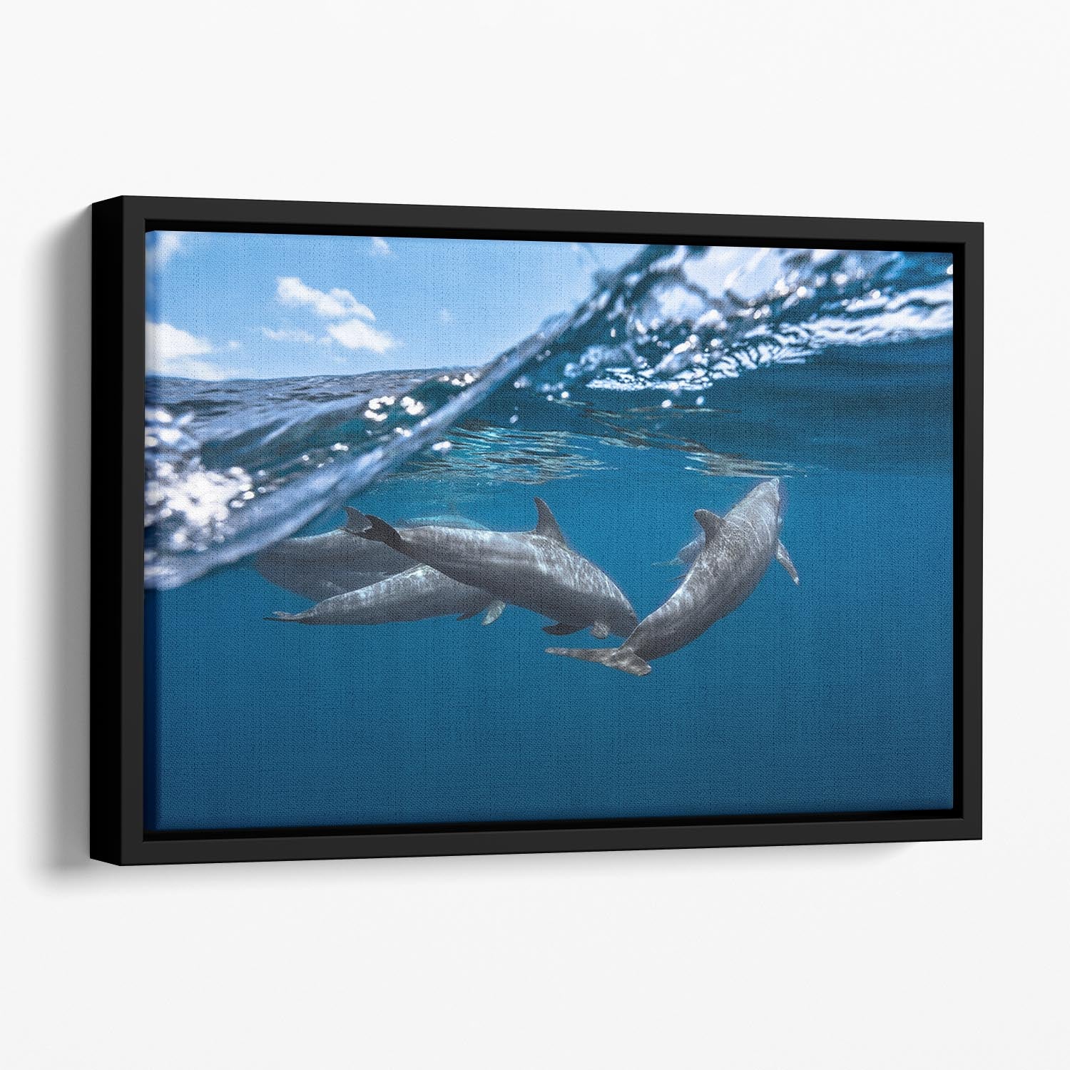Dolphins Floating Framed Canvas - Canvas Art Rocks - 1