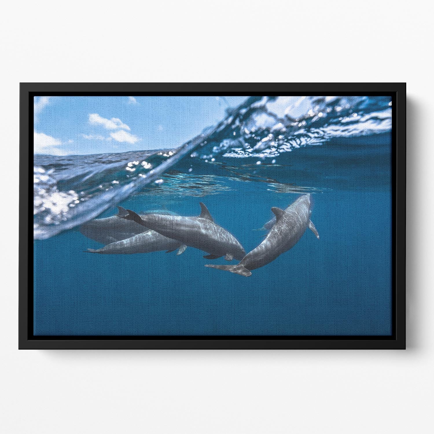 Dolphins Floating Framed Canvas - Canvas Art Rocks - 2