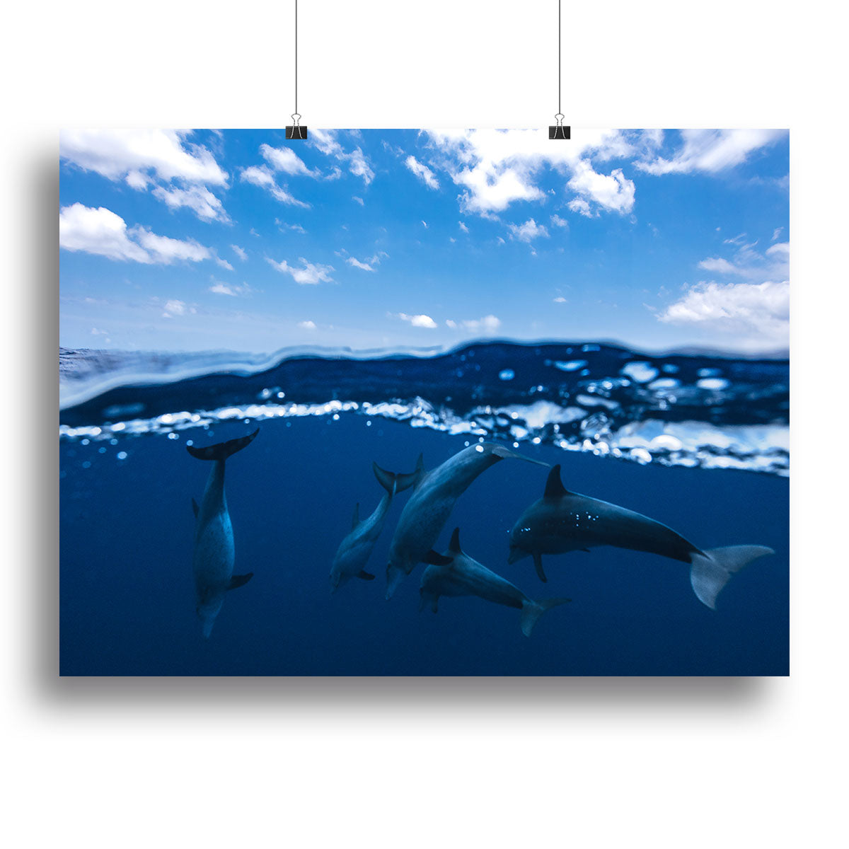Between Air And Water With The Dolphins Canvas Print or Poster - Canvas Art Rocks - 2
